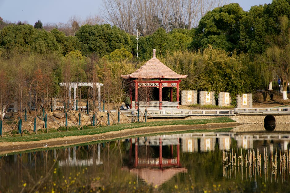 পরবর্তী পদক্ষেপের আমন্ত্রণ